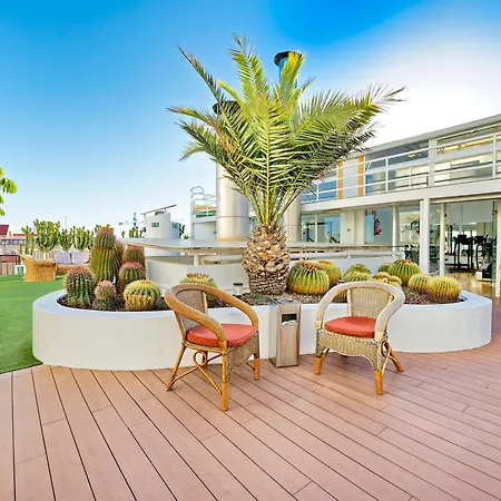 Bull Collection Canteras 4*